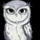 Avatar do usuário